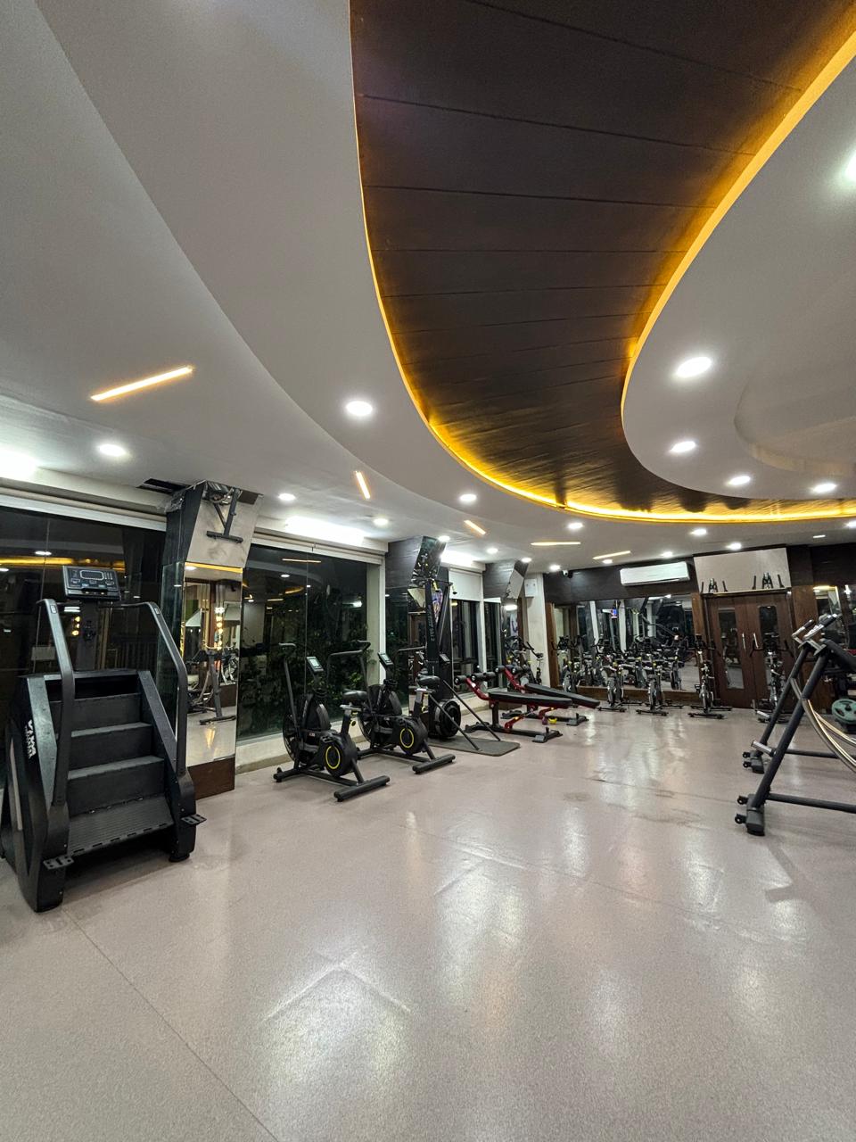 Treadmill Section - Premium cardio equipment